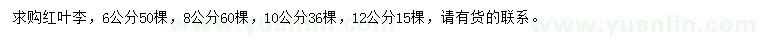 求购6、8、10、12公分红叶李