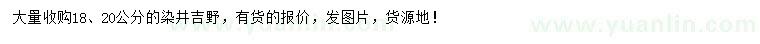 求购18、20公分染井吉野