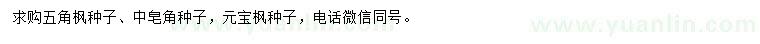 求购五角枫种子、皂角种子、元宝枫种子