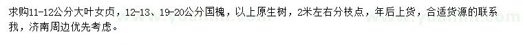 求购11-12公分大叶女贞、12-13、19-20公分国槐