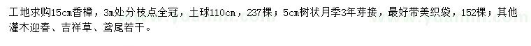 求购香樟、树状月季、迎春等