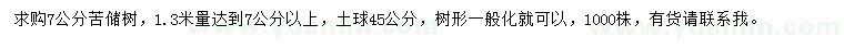 求购1.3米量苦槠树（青冈栎）