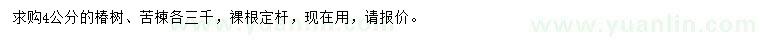 求购4公分椿树、苦楝