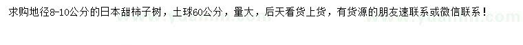 求购地径8-10公分日本甜柿子树