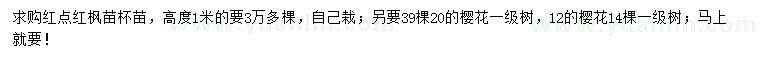 求购高度1米红点红枫、12、20公分樱花