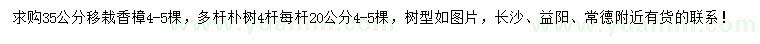 求购35公分移栽香樟、多杆朴树