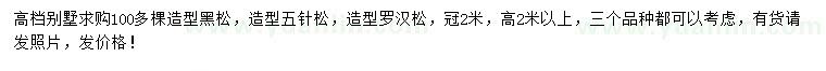 求购造型黑松、造型五针松、造型罗汉松