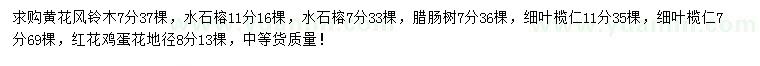 求购黄花风铃木、水石榕、腊肠树等