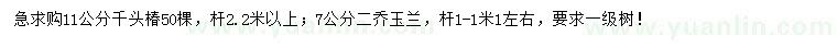 求购11公分千头椿、7公分二乔玉兰