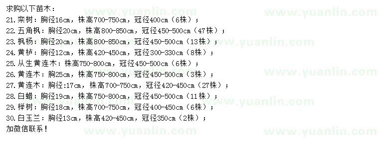 求购栾树、五角枫、枫杨等