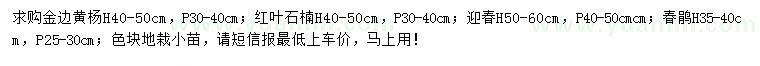 求购金边黄杨、红叶石楠、迎春等