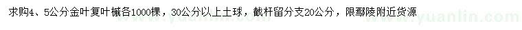 求购4、5公分金叶复叶槭