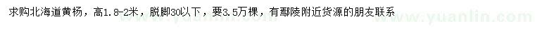 求购高1.8-2米北海道黄杨