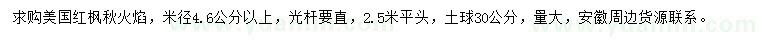 求购米径4.6公分以上美国红枫秋火焰