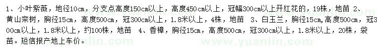 求购小叶紫薇、黄山栾树、白玉兰等