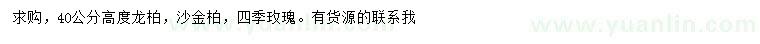 求购龙柏、沙金柏、四季玫瑰