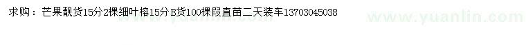 求购15公分芒果、细叶榕