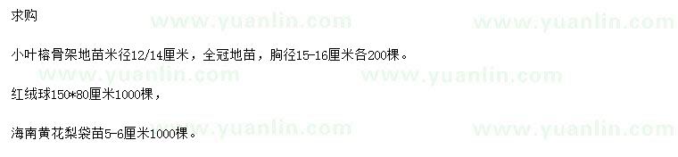 求购小叶榕、红绒球、海南黄花梨