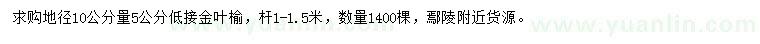 求购10量5公分金叶榆