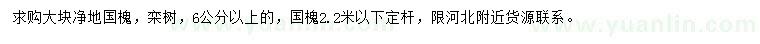 求购6公分以上国槐、栾树