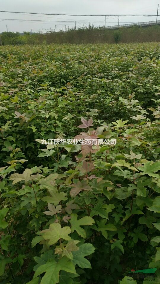 ŽСؽ1փr񣬵ؽ2փr񣬵ؽ3փr