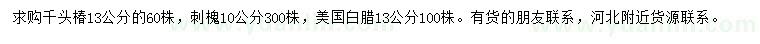 求购千头椿、刺槐、美国白蜡