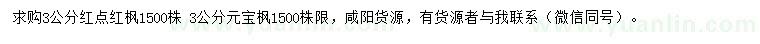 求购3公分红点红枫、元宝枫