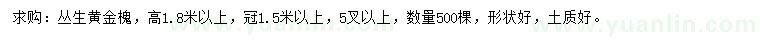 求购高1.8米以上丛生黄金槐