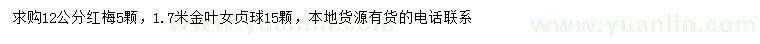 求购12公分红梅、1.7米金叶女贞球