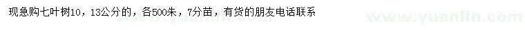 求购10、13公分七叶树