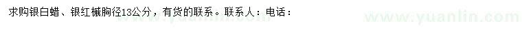 求购胸径13公分银白蜡、银红槭