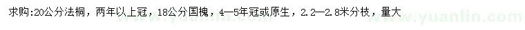 求购18公分国槐、20公分法桐