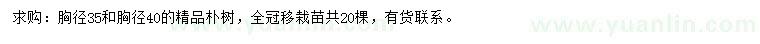 求购胸径35、40朴树