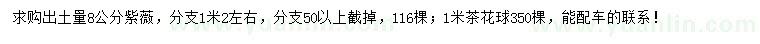 求购地径量8公分紫薇、1米茶花球