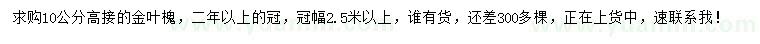 求购10公分高接金叶槐