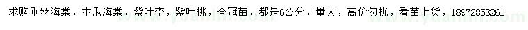 求购垂丝海棠、木瓜海棠、紫叶李等