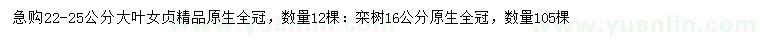 求购22-25公分大叶女贞、16公分栾树