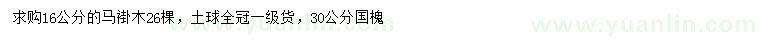 求购16公分马褂木、30公分国槐