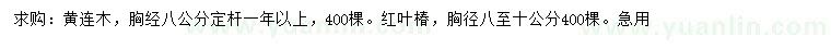 求购胸径8公分黄连木、8-10公分红叶椿