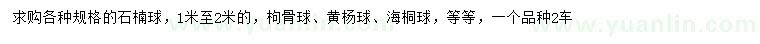 求购石楠球、枸骨球、黄杨球等