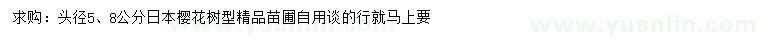 求购头径5、8公分日本樱花