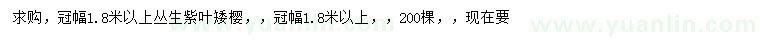 求购冠幅1.8米以上丛生紫叶矮樱