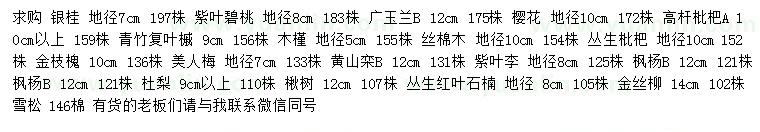 求购银桂、广玉兰、紫叶碧桃等