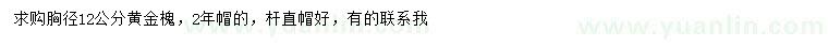 求购胸径12公分黄金槐