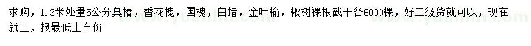 求购臭椿、香花槐、国槐等