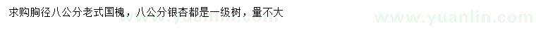 求购胸径8公分老式国槐、银杏