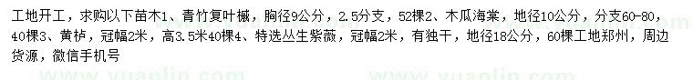 求购青竹复叶槭、木瓜海棠、黄栌等