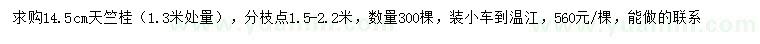 求购1.3米量14.5公分天竺桂