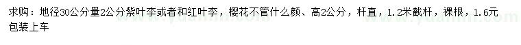 求购紫叶李、红叶李、樱花