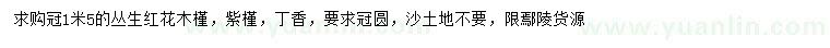 求购丛生红花木槿、紫槿、丁香